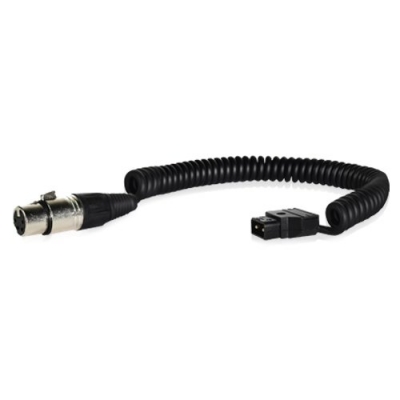 Coiled P-tap to XLR